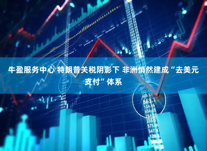 牛盈服务中心 特朗普关税阴影下 非洲悄然建成“去美元支付”体系