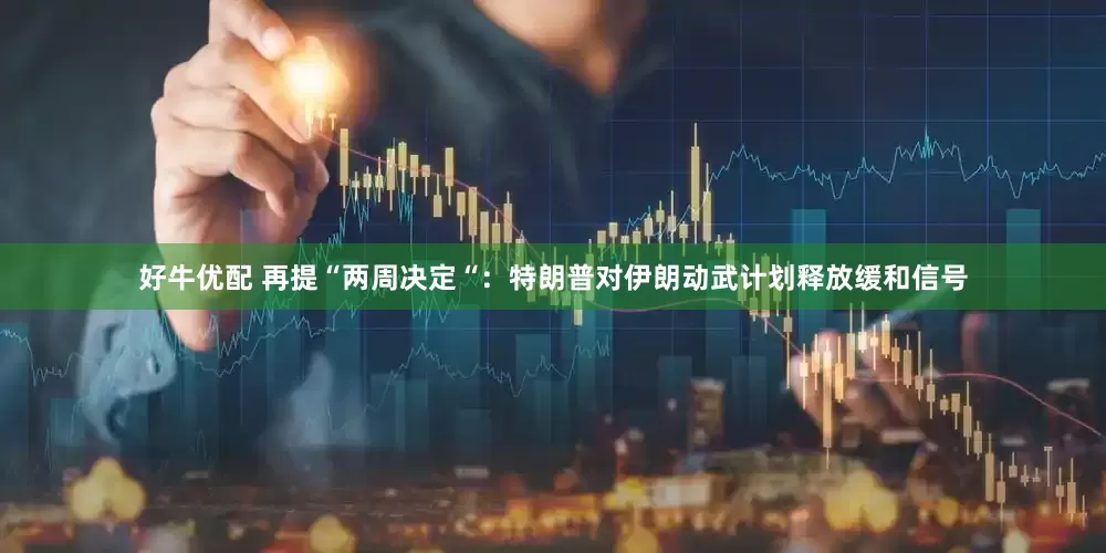好牛优配 再提“两周决定“：特朗普对伊朗动武计划释放缓和信号