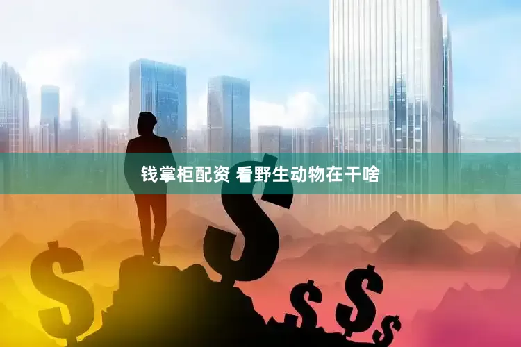 钱掌柜配资 看野生动物在干啥